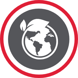Earth globe depicted with a leaf within it.