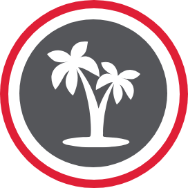 Two palm trees