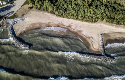 A Lake Michigan shoreline and beach near trees