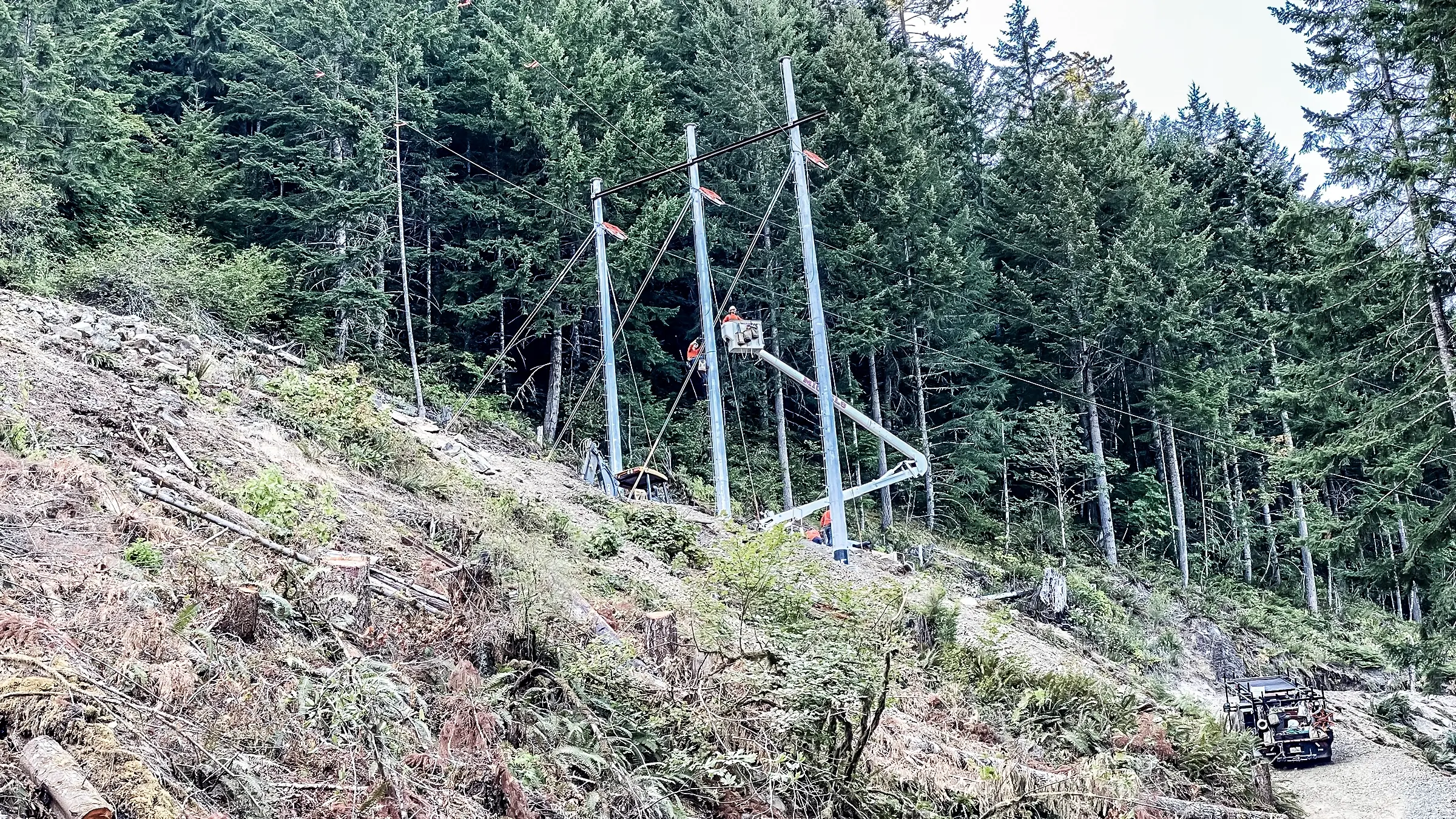 A bucket truck works near a tree line on a transmission line.